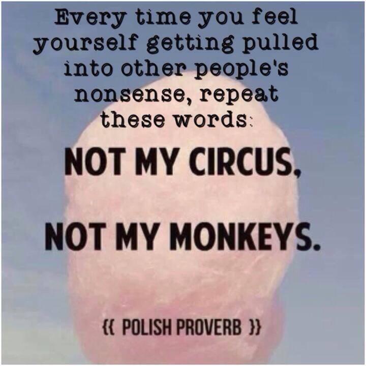 not my monkeys.jpg