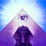 the_widows_son