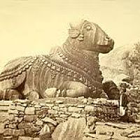 Buul5