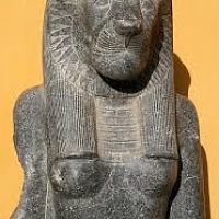 Lion1