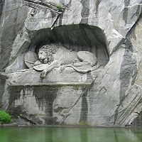 Lion8