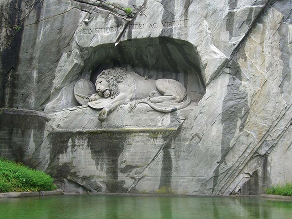 Lion8